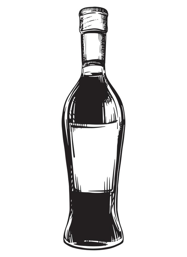 Wine bottle isolated on white background. sketch, vintage hand engraving. Hand drawn ink drawing of a bottle. Line art for menu, design, label. vector