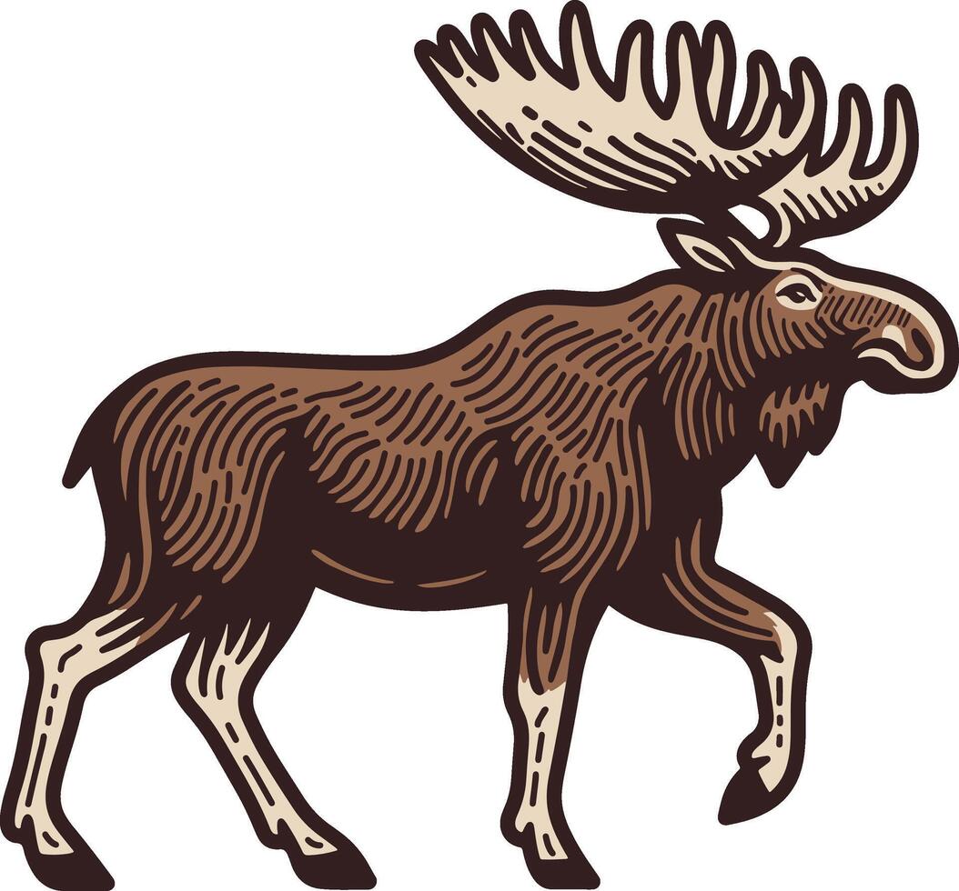 Retro Moose Hand Drawn Design vector