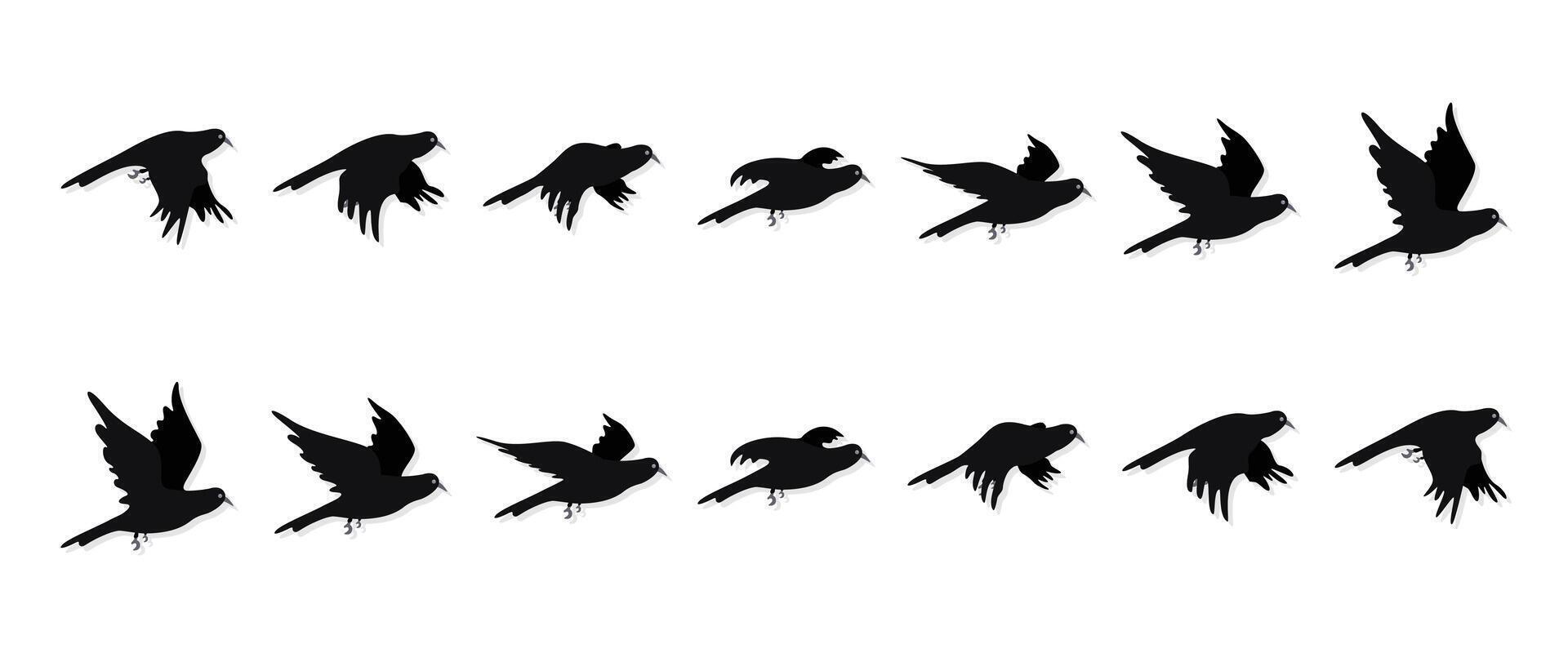 Set of crow flying cycle, black sequences flying raven silhouette, illustration isolated on white background vector