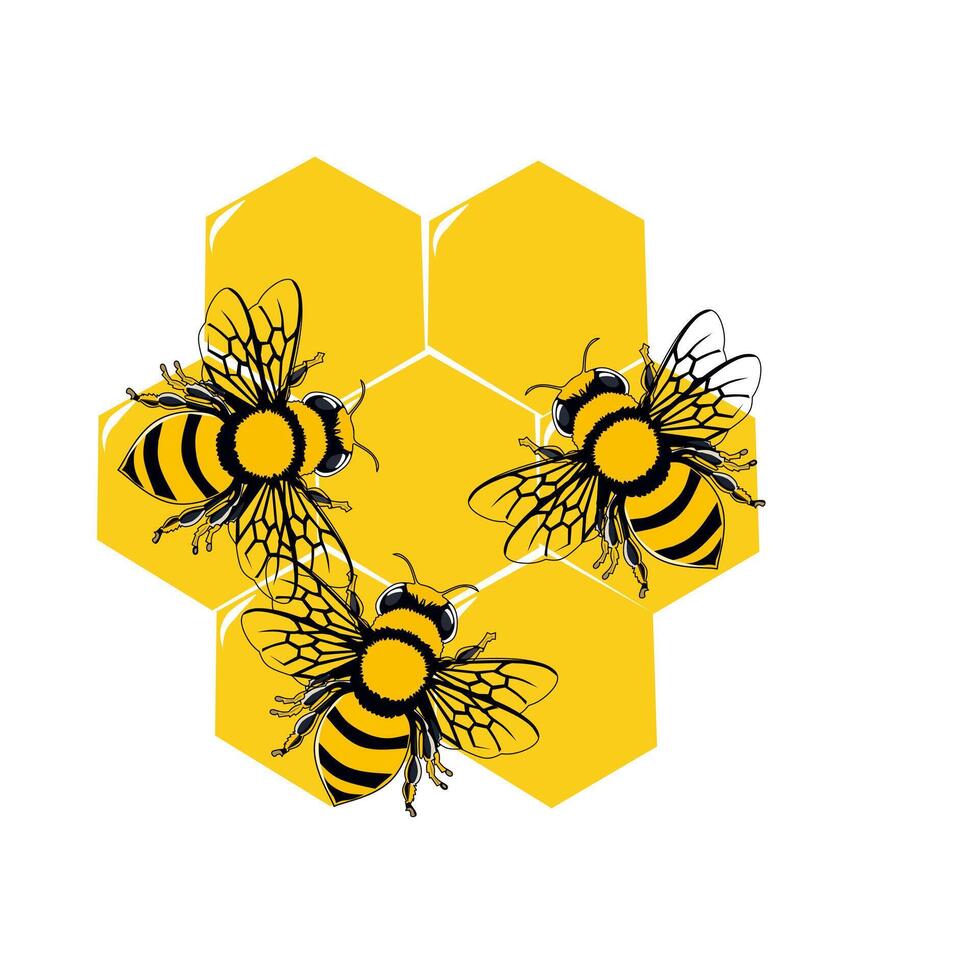 three bees on a honeycomb vector