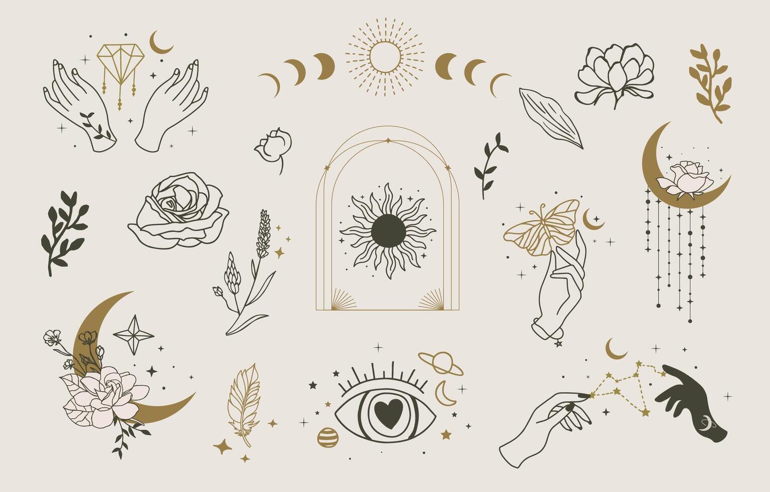 Boho Mystic style line icon with Boho Mystic style line icon with flower,rose,magnolia,sun,moon flower,rose,lily,sun,moon vector