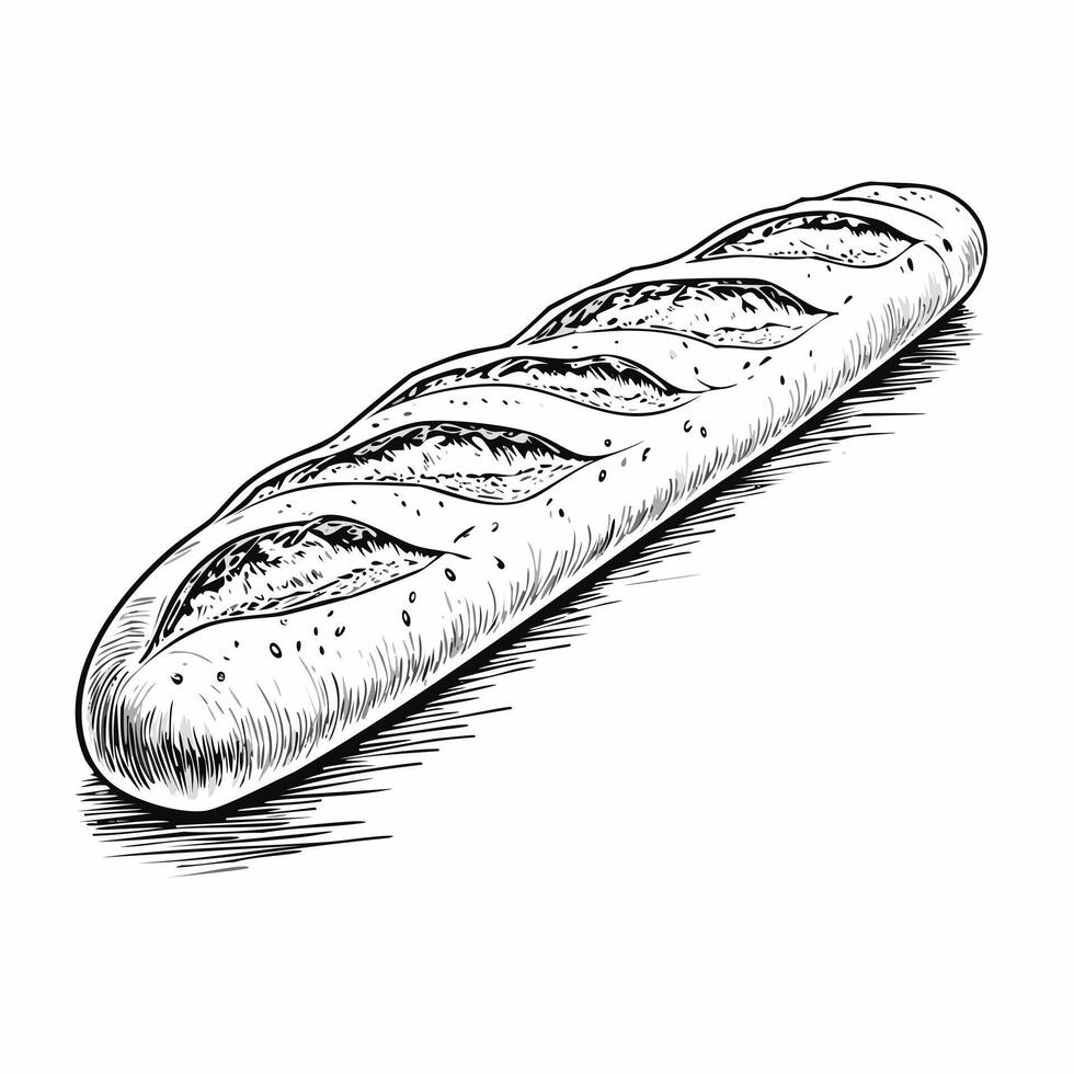 Baguette Food Meal Menu Dish Delicious Cuisine Eat Sketch Style vector