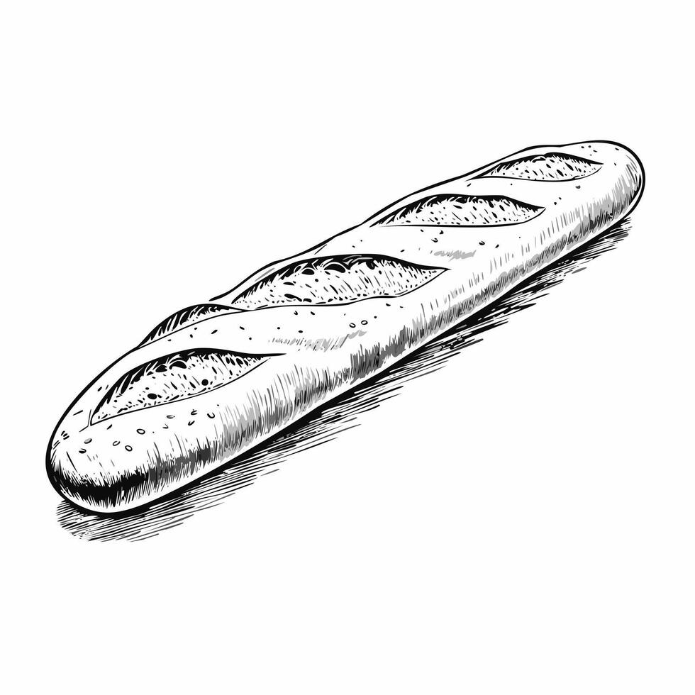 Baguette Food Meal Menu Dish Cuisine Eat Sketch Style vector