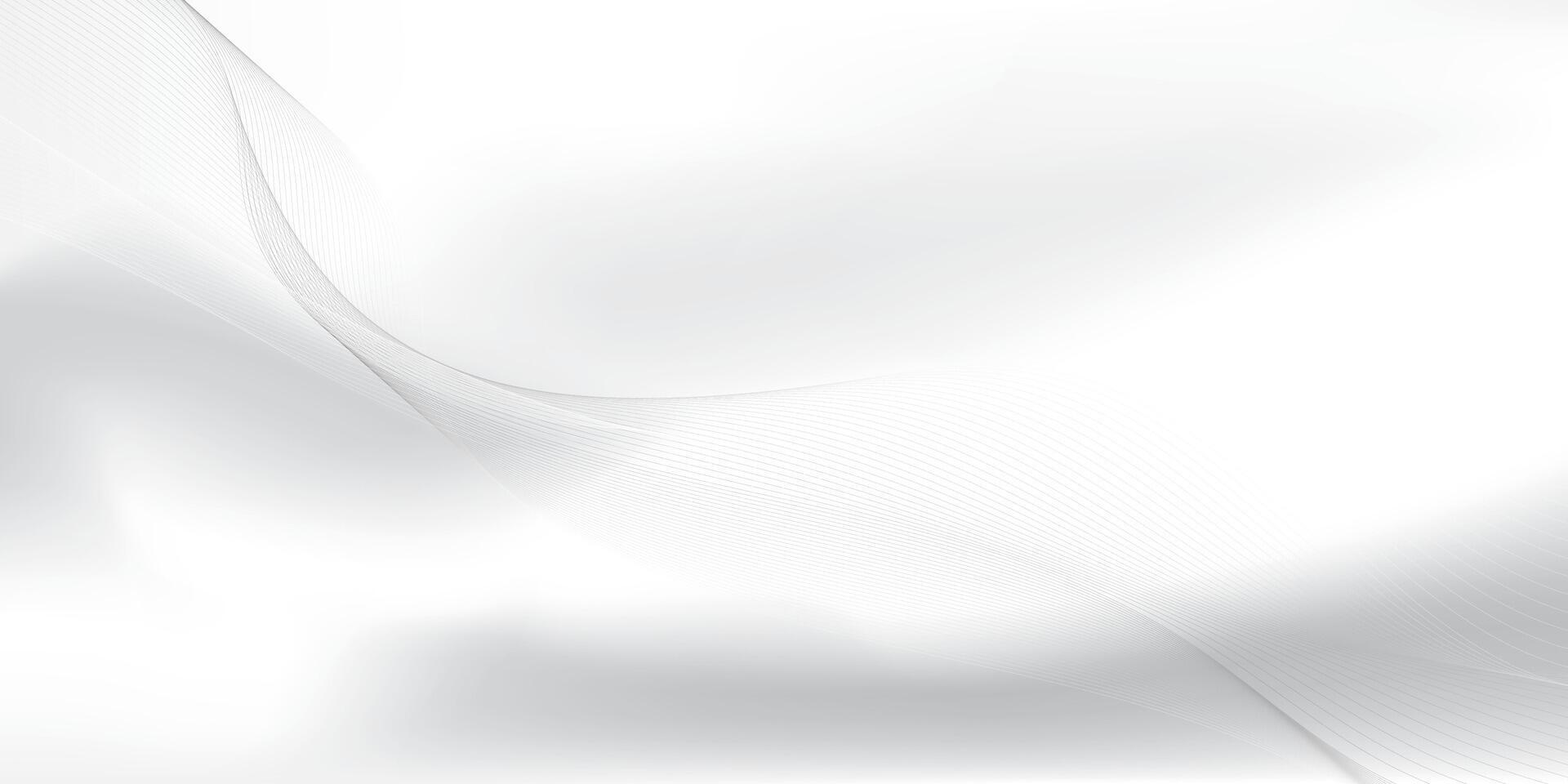 Abstract white and gray color, modern design stripes background with curve lines, wavy pattern. illustration. vector