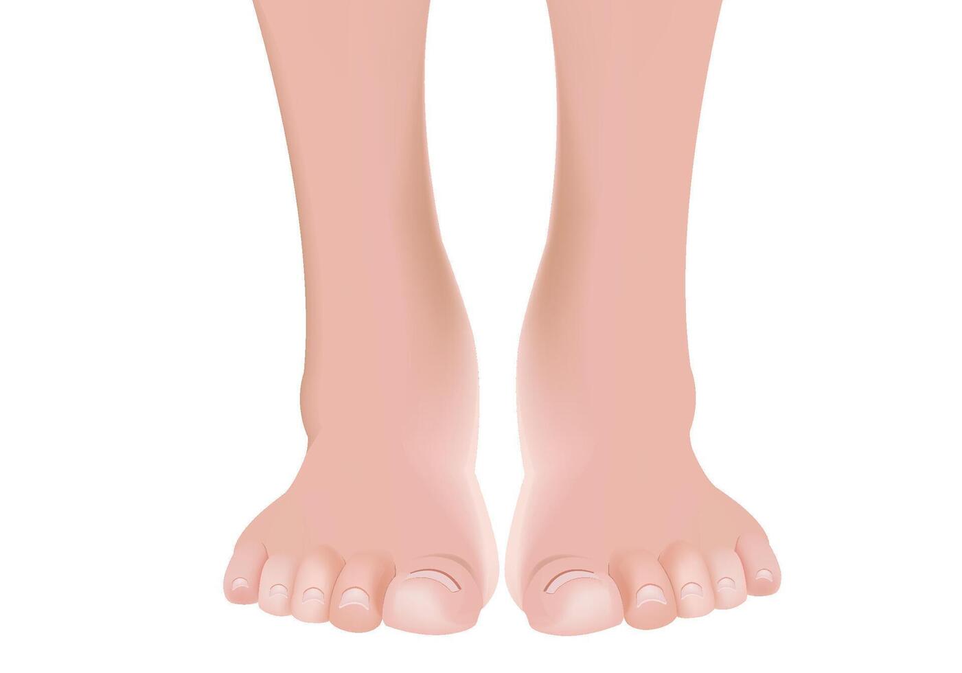 Person's feet with pink skin vector