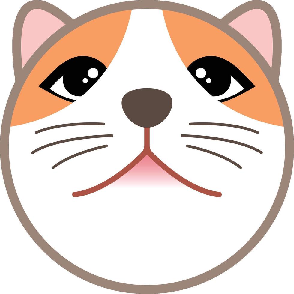 fisheye lens cat vector