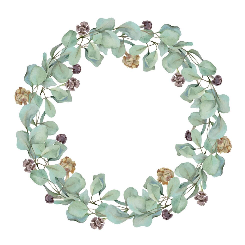 Eucalyptus laurel branches, leaves with cones. Watercolor hand drawn illustration, wreath chaplet crown frame isolated on white. Xmas cards, happy new year festive, noel navidad. Florist wedding gifts vector