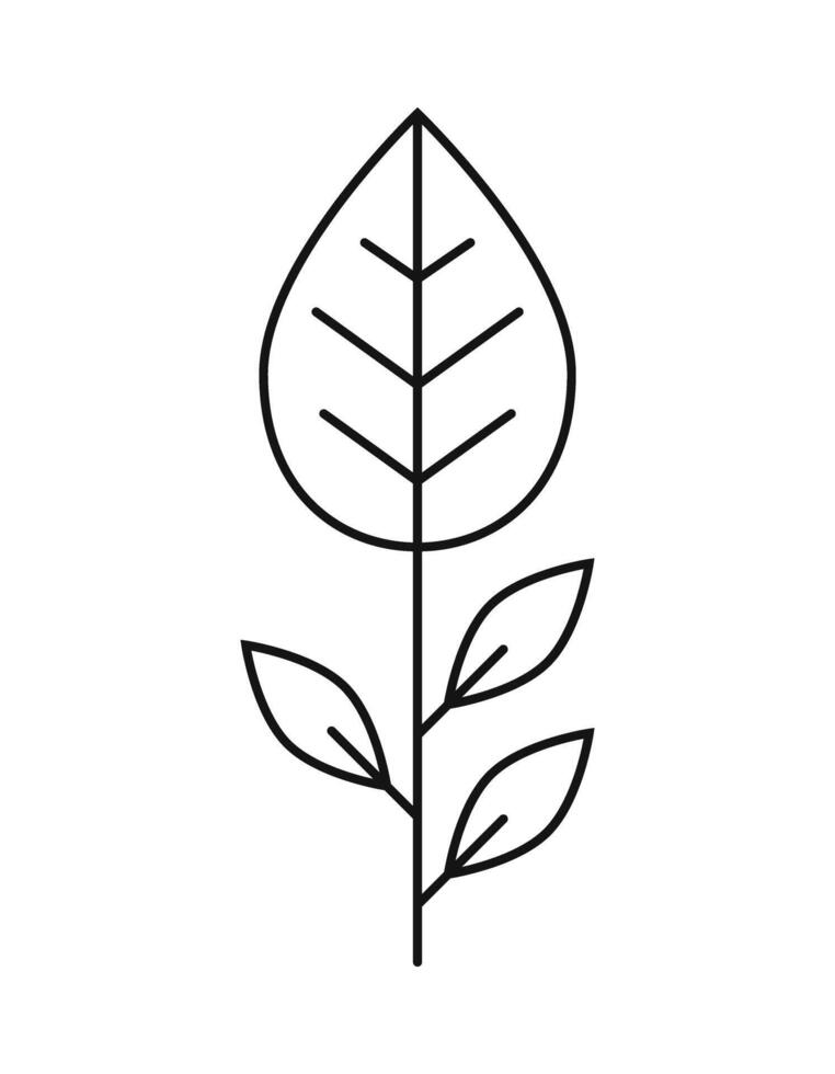 Leaf plant line style icon. Botany sign symbol on white background illustration vector