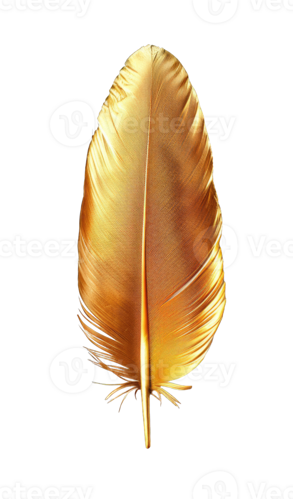 Golden feather quill isolated on transparent background cutout png