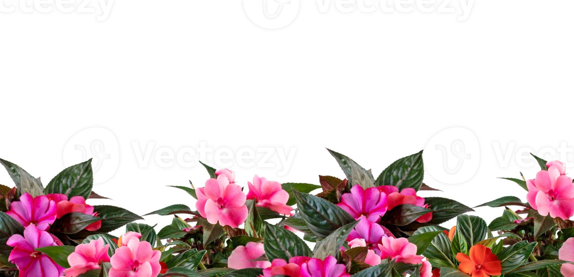 mengen bloem kader besnoeiing uit geïsoleerd transparant achtergrond png