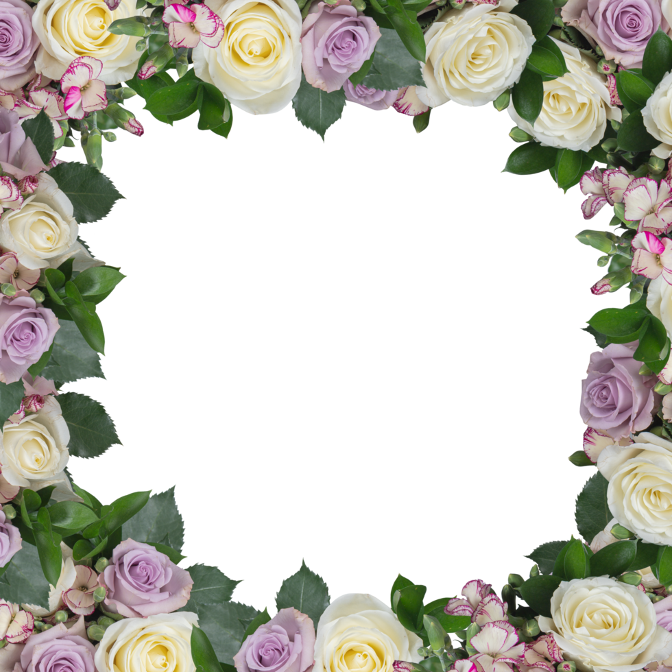 Includes many colored roses fresh flower frame cut out isolated transparent background png