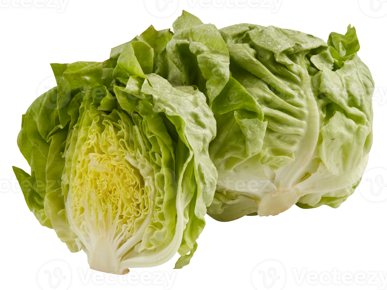 Fresh lettuce wrap cut out isolated transparent background png