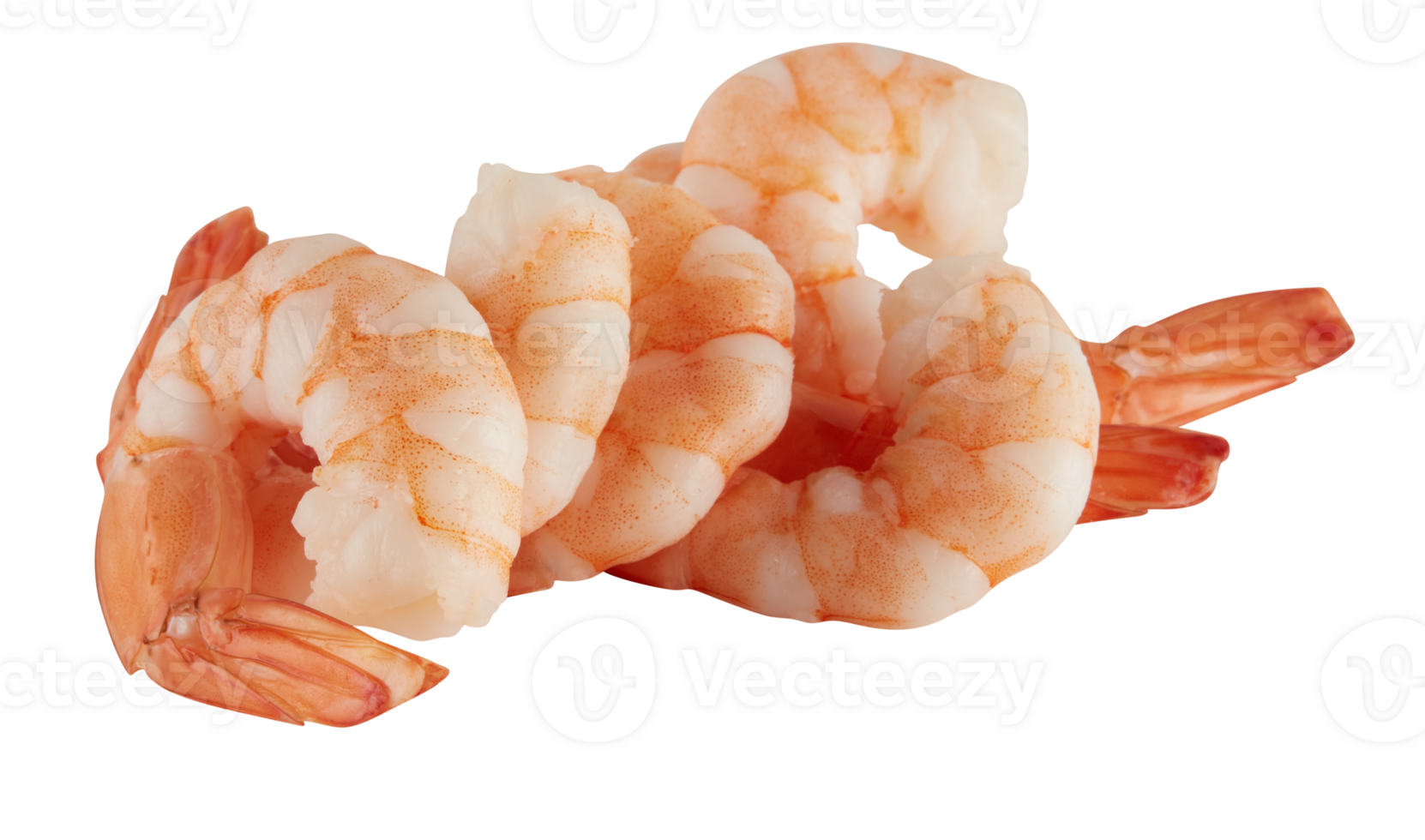 Grilled Shrimp Stacked in a line png