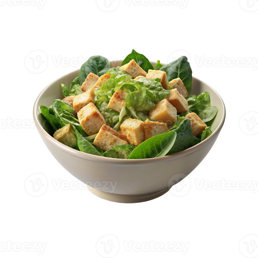 Caesar Salad image png