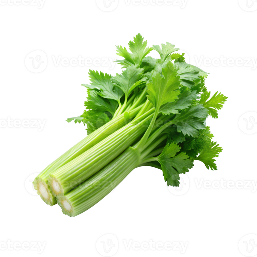 celery celery on transparent background png