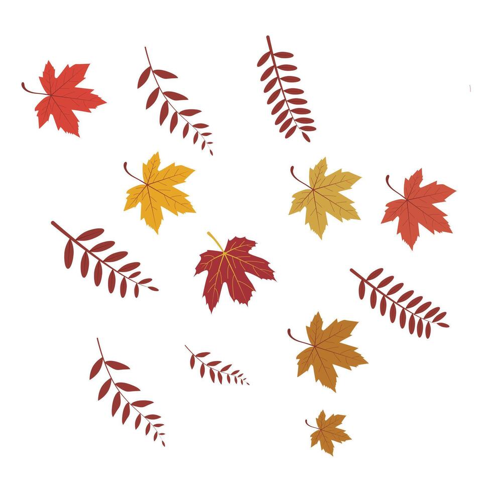 Set of autumn leaves from different trees, Hello autumn card. Flat illustration on white background, Hello autumn card. vector