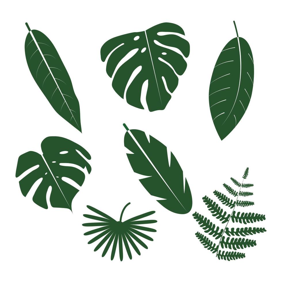 A collection of green tropical leaves in various shapes, a seamless pattern on a white background. vector