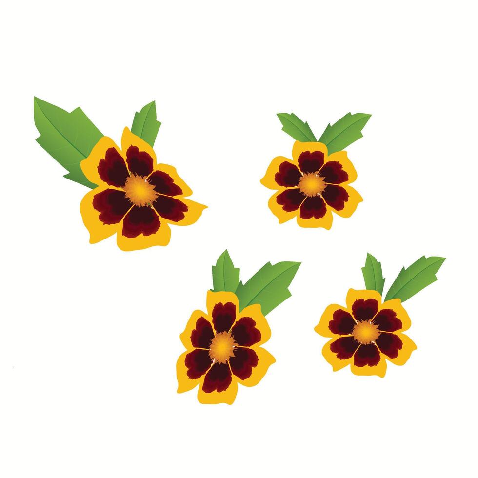 Beautiful yellow flower on white background. vector