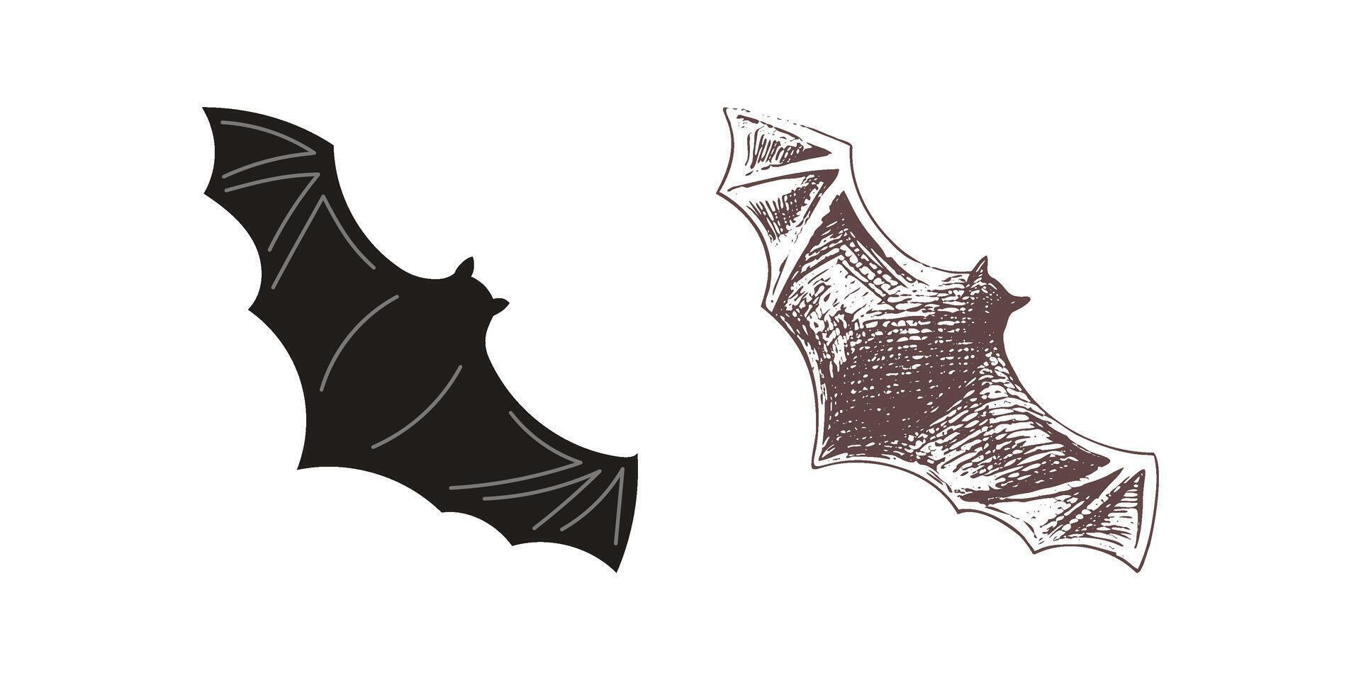 Flat and sketch style bat on a white background. Cartoon halloween illustration. vector