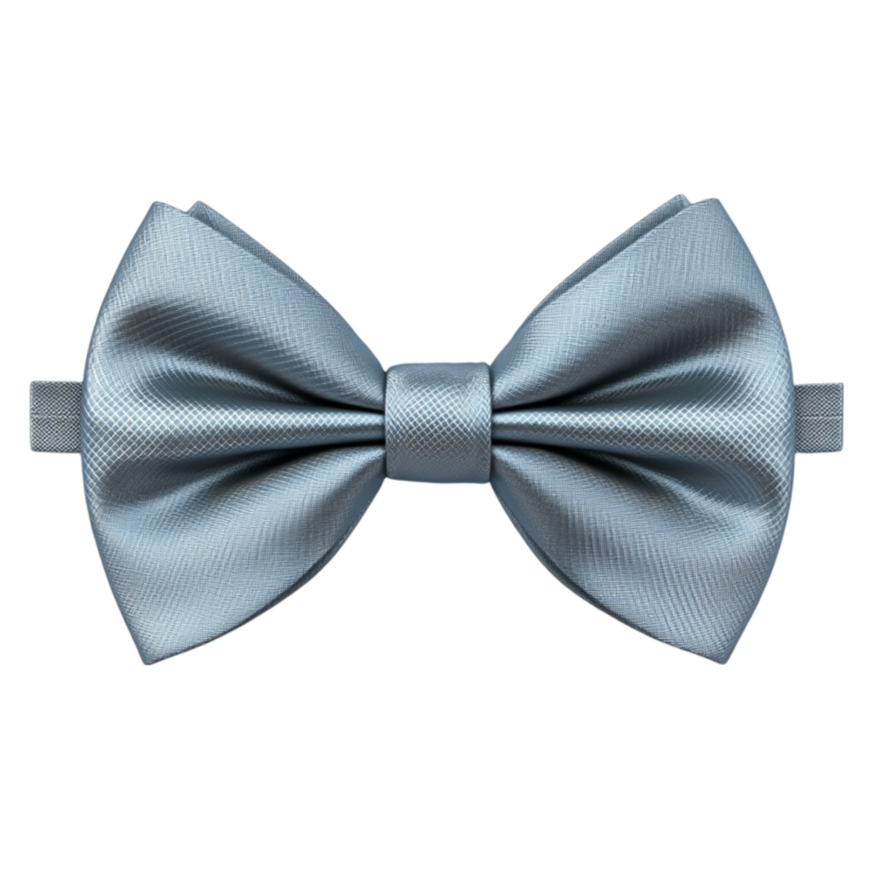 Digital Rendering of Gray Bow Tie and Gray on Transparent background png