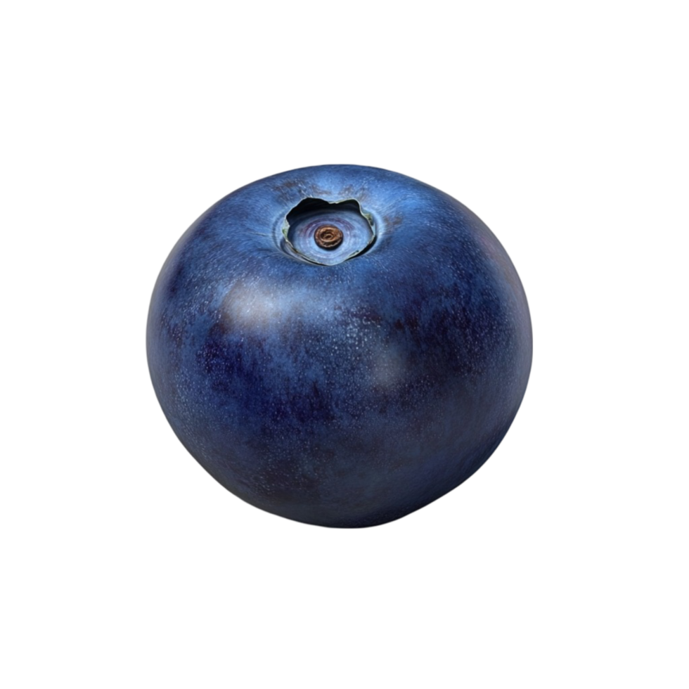 Fresh Blueberry with Small Hole in Stem on Transparent background png