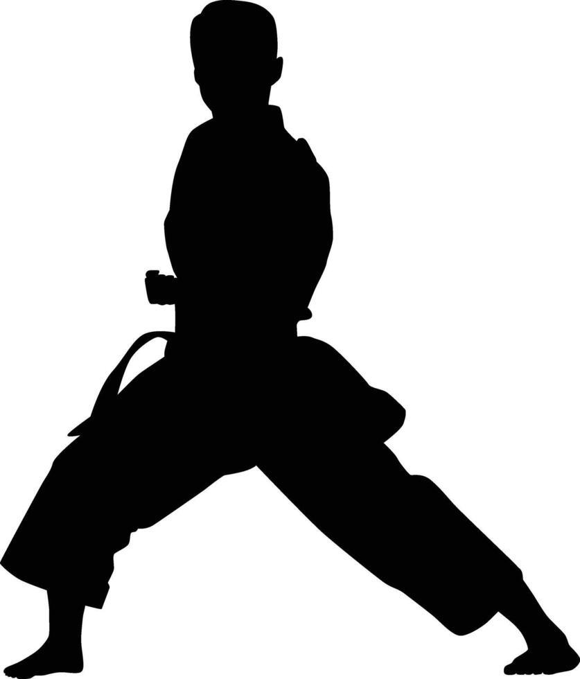 Pose karate men silhouette vector