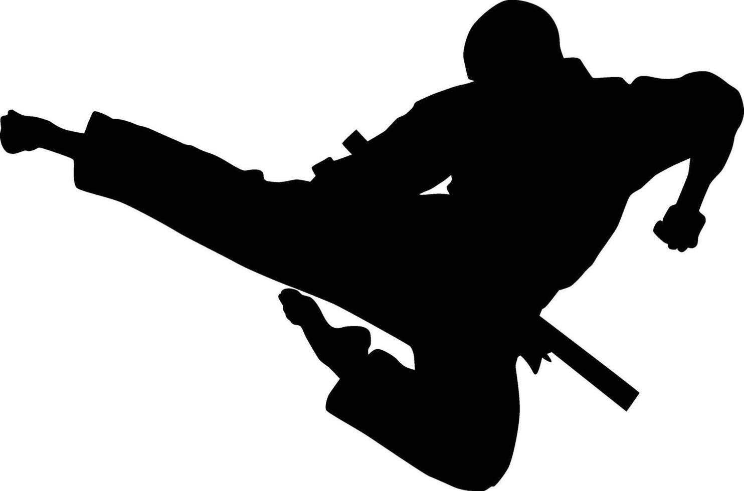 Karate men kick while flying vector
