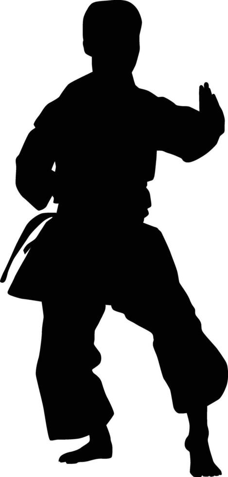 Karate people posing silhouette vector
