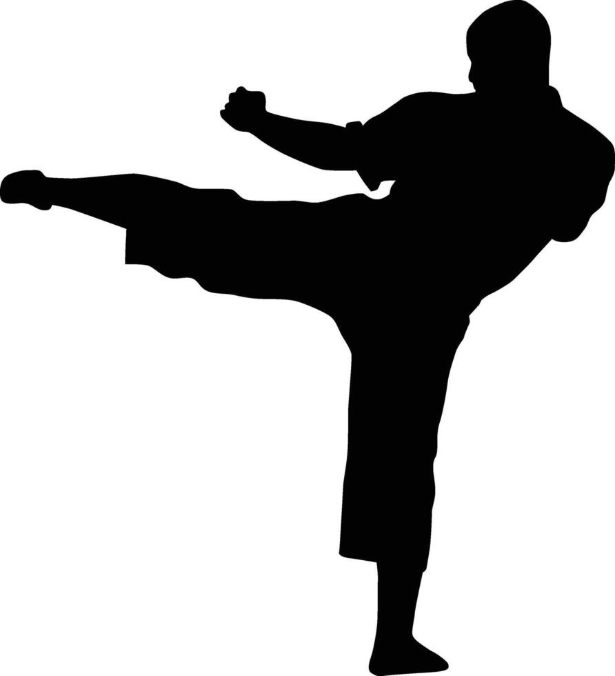 Karate men kick pose silhouette vector