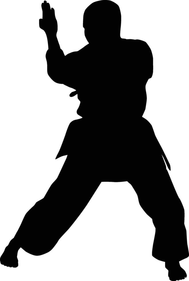 Men posing karate silhouette vector