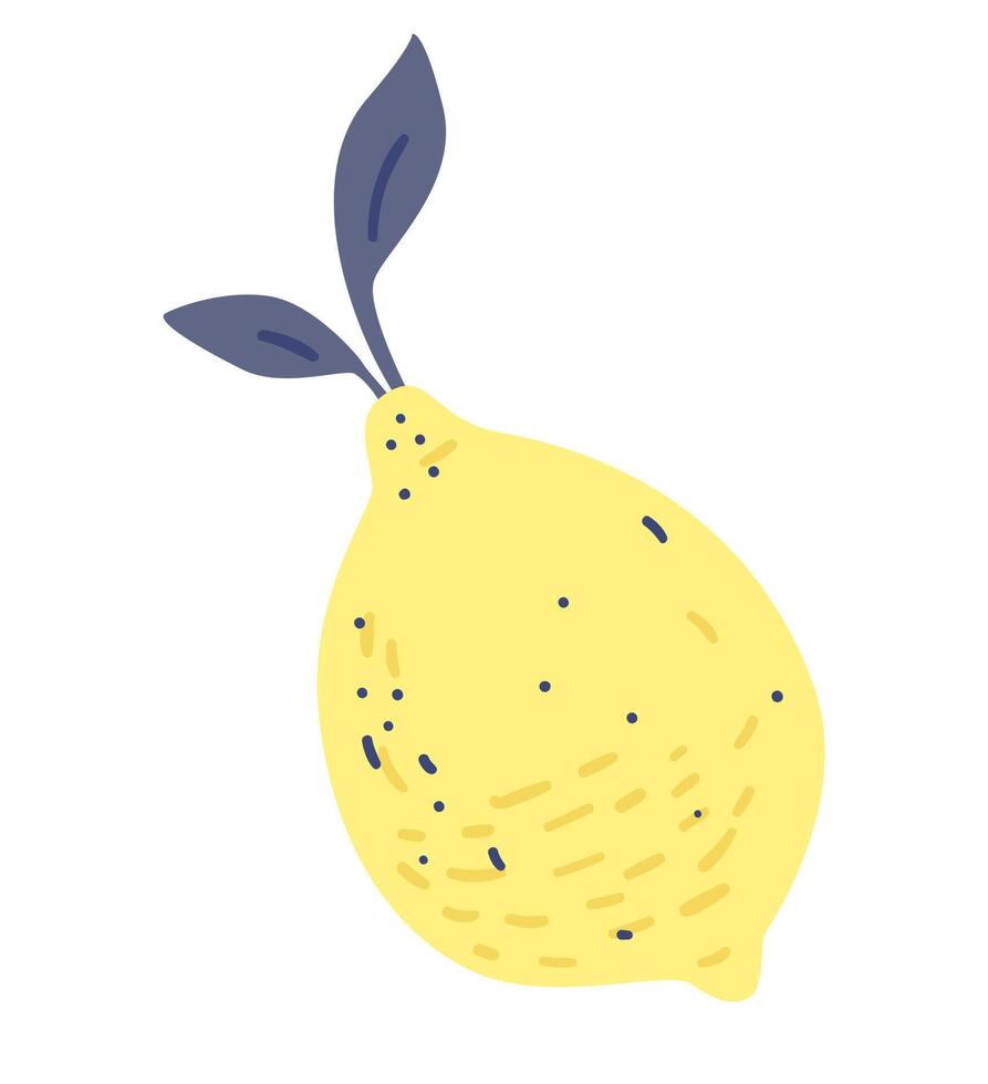 Lemon doodle illustration isolated on white. vector