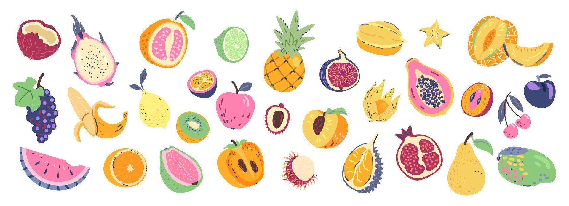 Appetizing juicy doodle fruits collection on white background. vector
