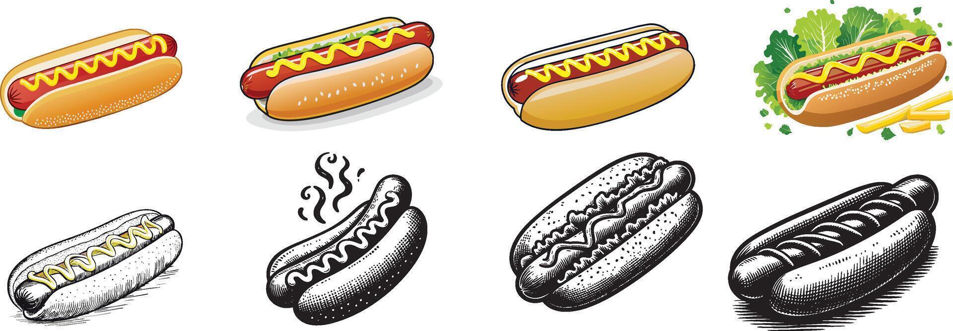 various hotdog illustration set vector