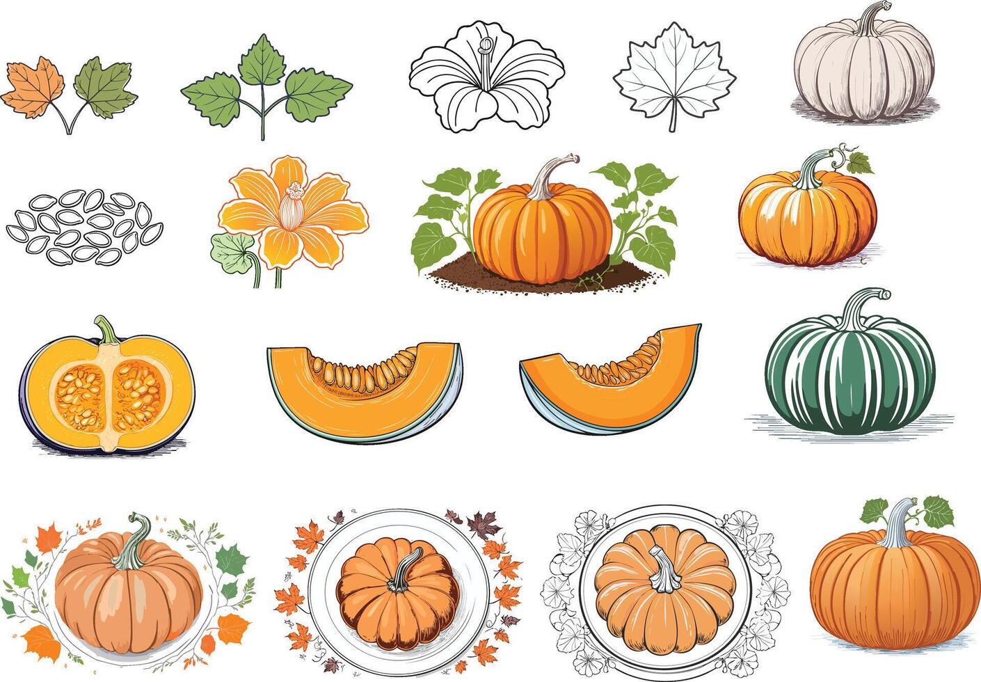 colorful hand drawn pumpkin illustration set vector