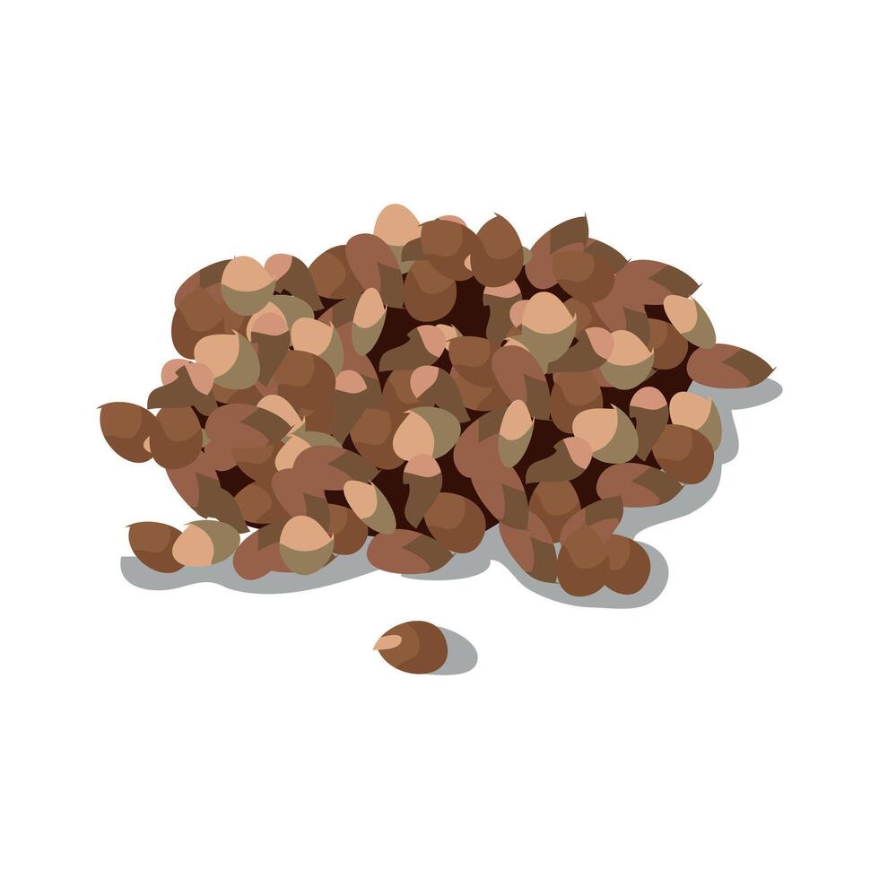 charoli, charoli seeds, marathi charoli, Cuddapah almond vector