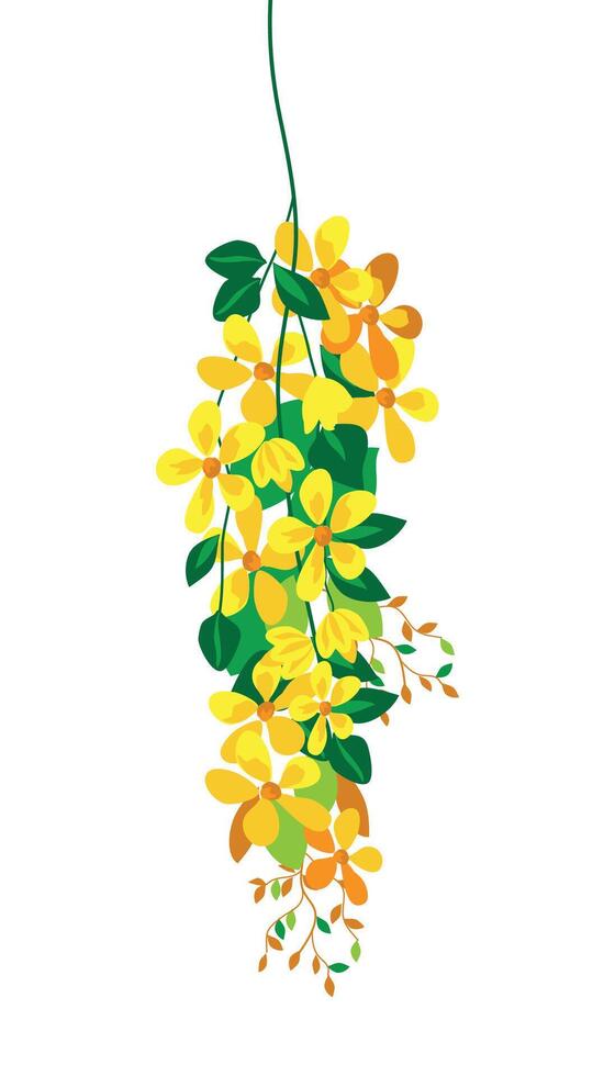 kanikonna flower isolated on white background vector