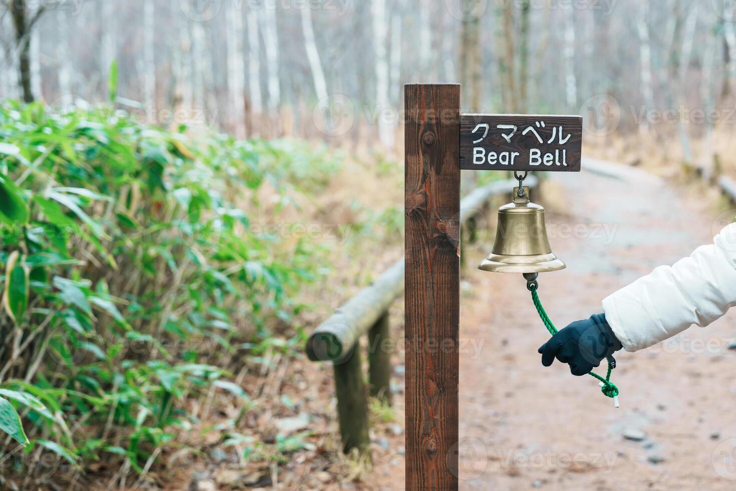 Woman tourist travel Kamikochi National Park, happy Traveler with Bear bell in the forest, Nagano Prefecture, Japan. Landmark for tourists attraction. Japan Travel, Destination and Vacation photo