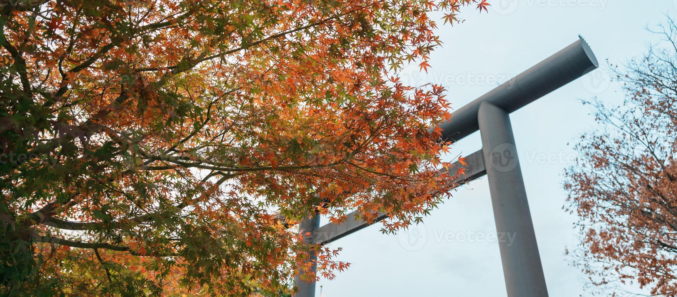 Japanese Torii in Autumn season. Yohashira Shrine near Nawate Street or Frog shopping Street in Matsumoto city, Nagano prefecture, Japan. Landmark for tourist attraction. Japan Travel concept photo