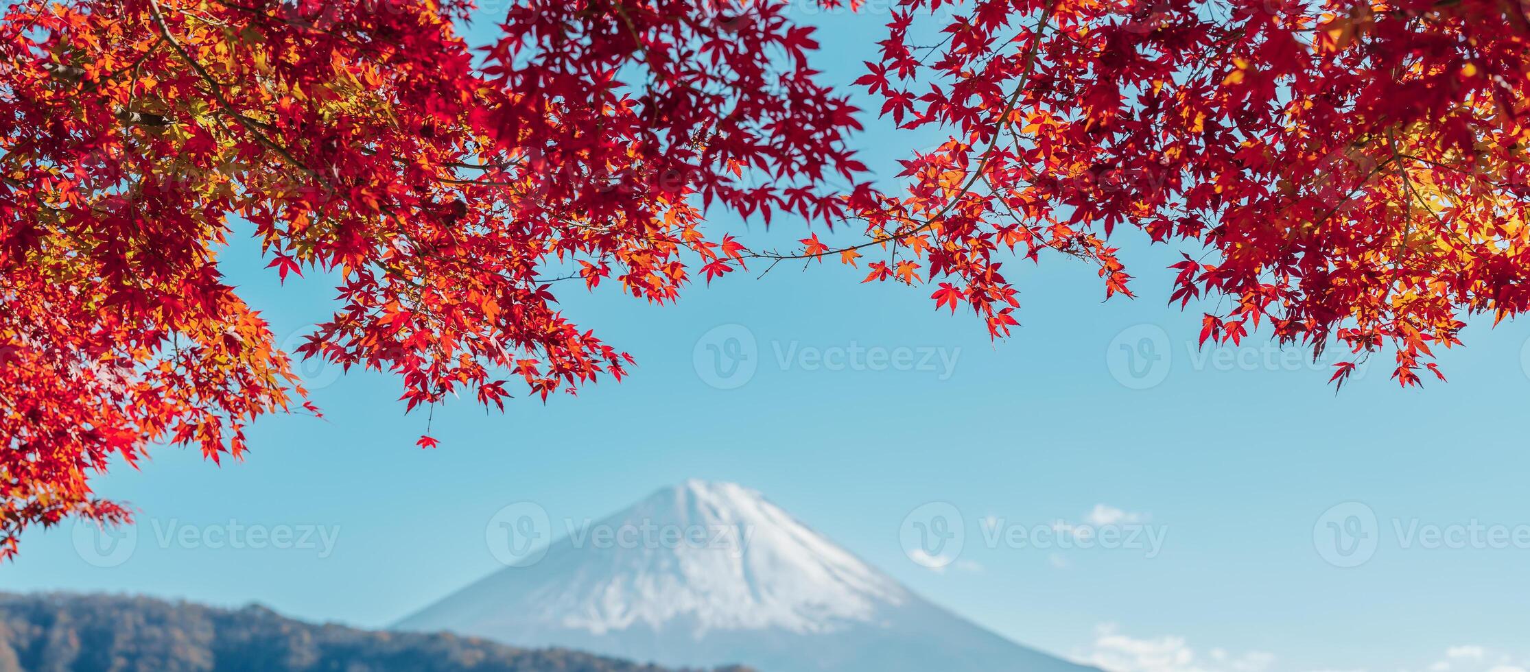 Mount Fuji view at Lake Saiko in Autumn season. Mt Fujisan in Fujikawaguchiko, Yamanashi, Japan. Landmark for tourists attraction. Japan Travel, Destination, Vacation and Mount Fuji Day concept photo