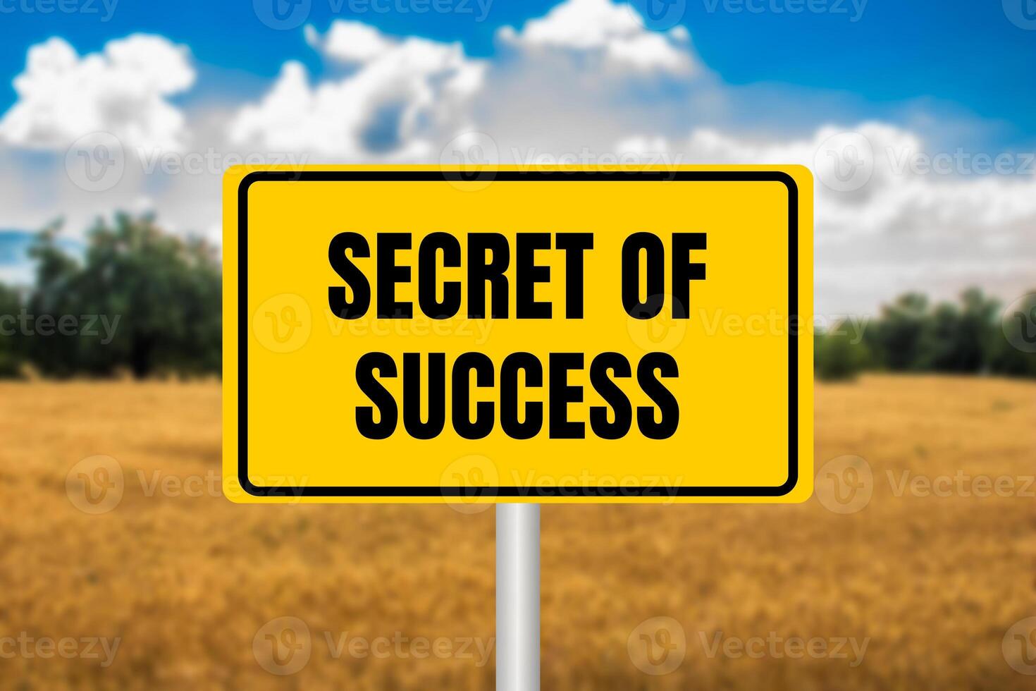 Secret of success message written on yellow metal sign on blurry wheat field background. Conceptual secret of success symbol. Copy space. photo
