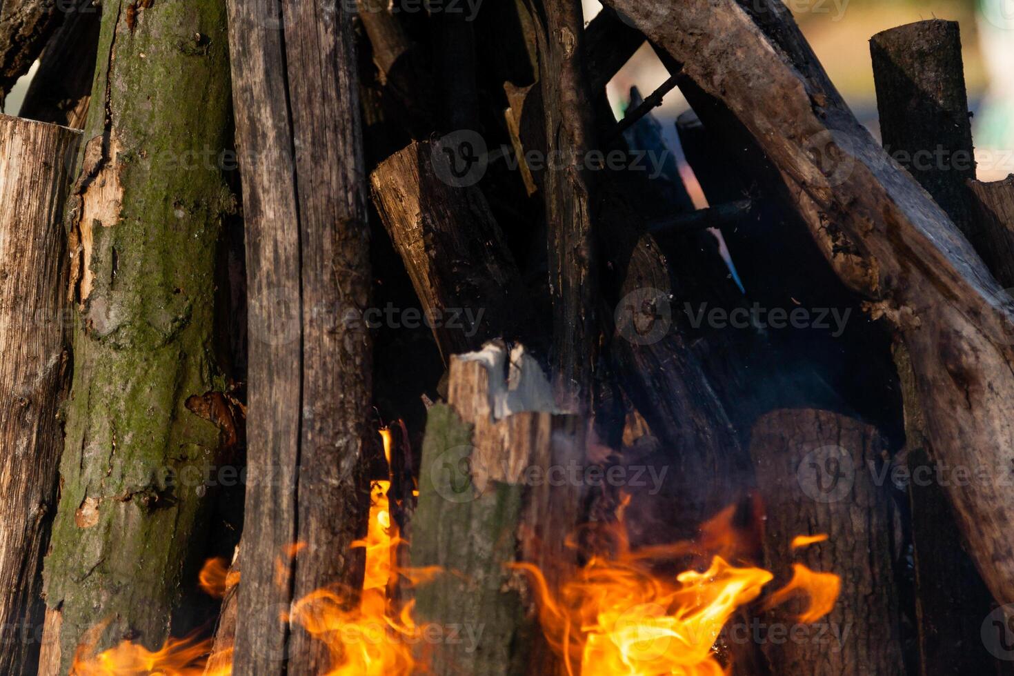 Beautiful fire flames on a campfire photo