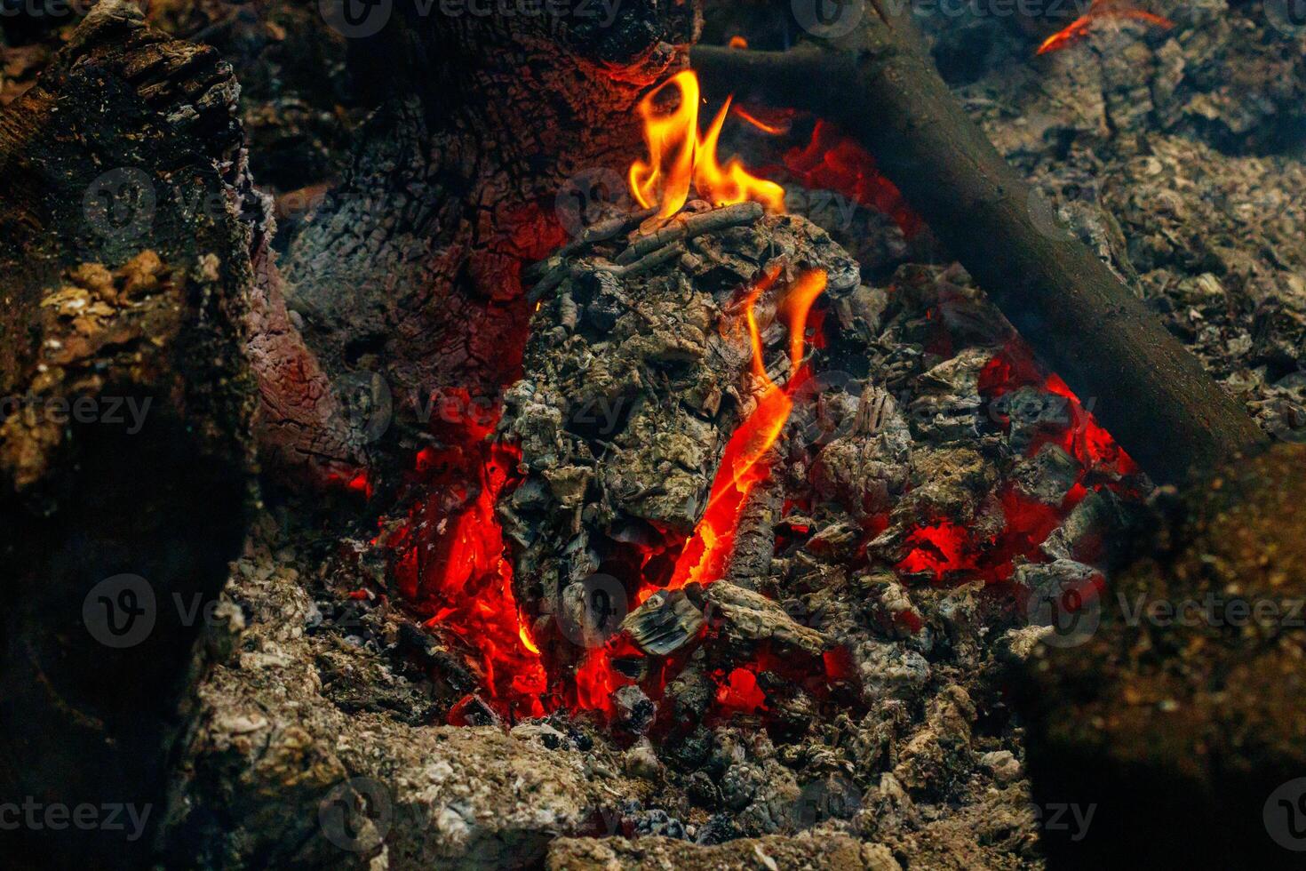 texture flame from burning logs at night photo