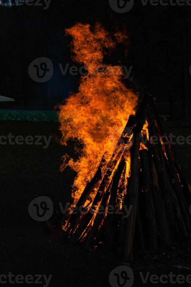 Beautiful fire flames on a campfire photo