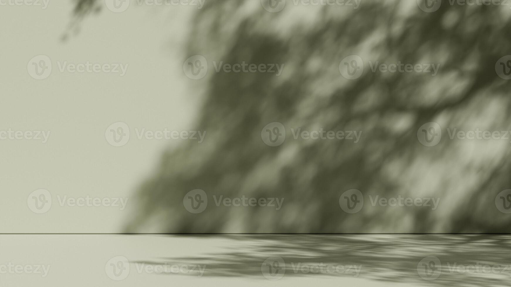 Simple background with branch shadows on the wall. Mock up for branding products, presentation and health care. photo