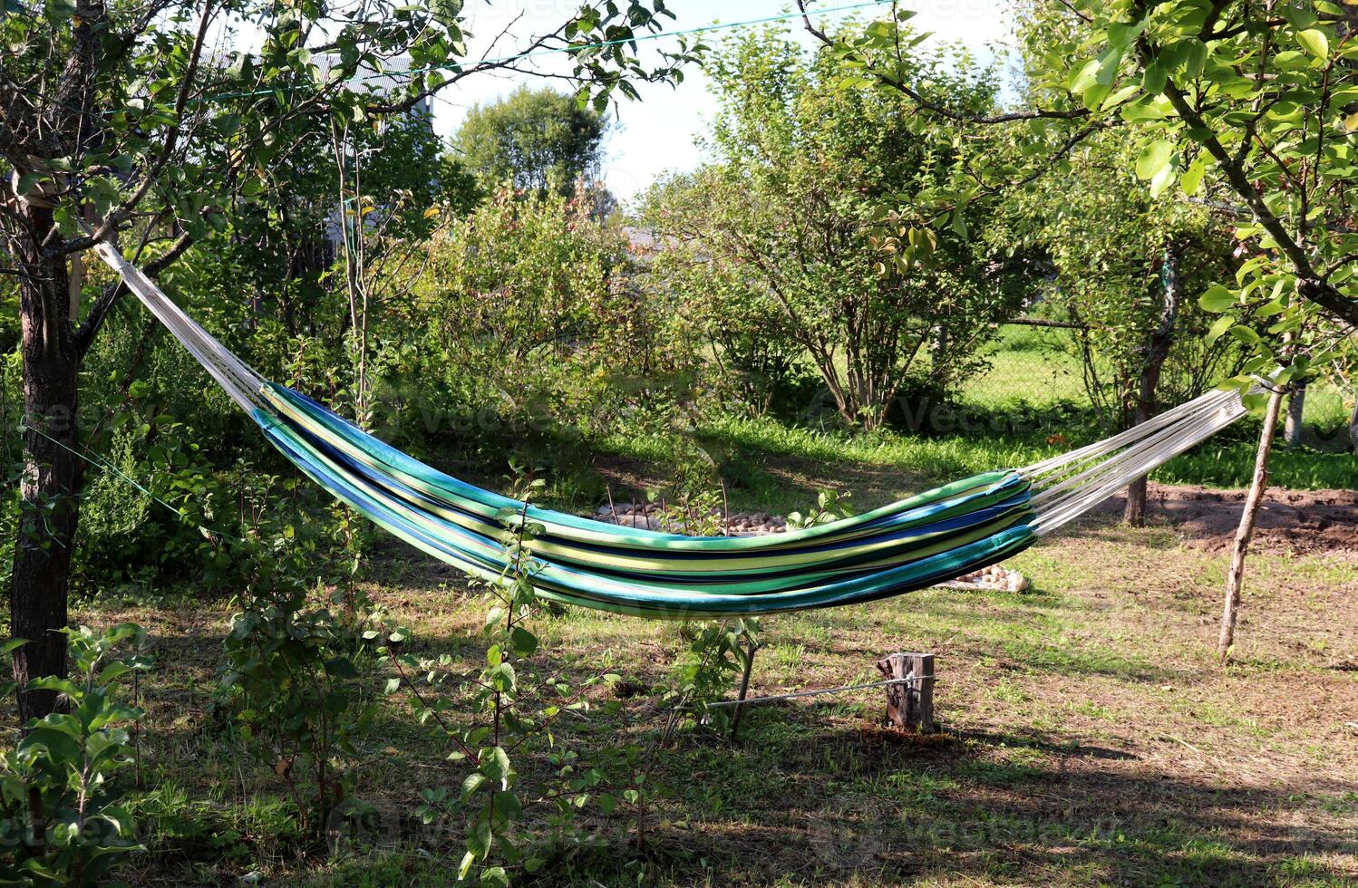 Striped bright hammock in the garden against the background of fruit trees photo