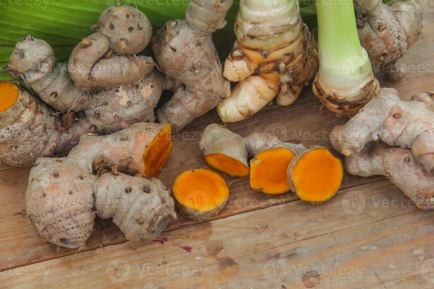 Turmeric or Curcuma longa Linn or rhizome root, a tuber plant that has a distinctive color and aroma photo