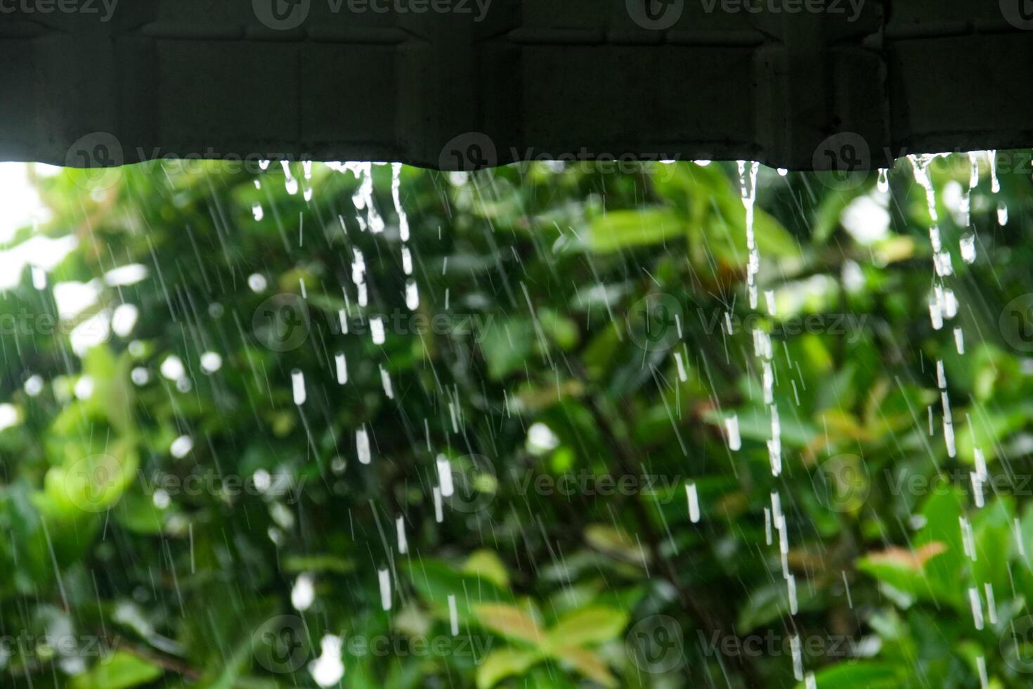Rainwater falling from the roof during heavy rain during the rainy season in Indonesia photo