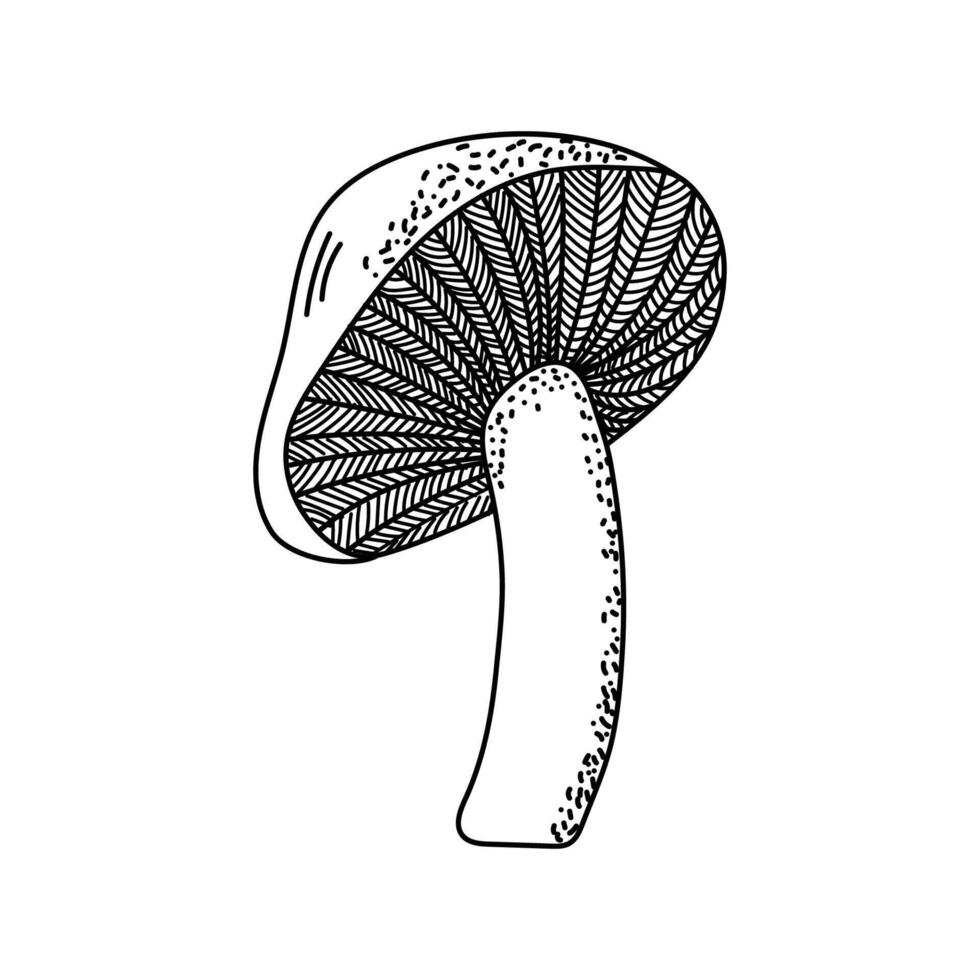 Mushroom drawn in the doodle style, with isolated lines for printing, poster, banner, greeting card, design element, icon. vector