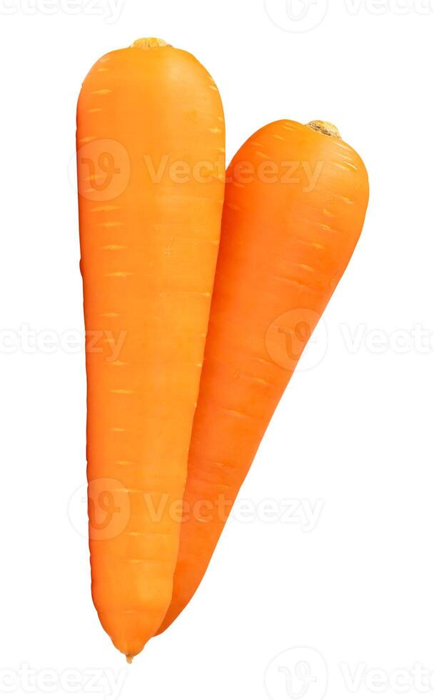 Two roots of fresh orange carrot in stack isolated on white background with clipping path photo