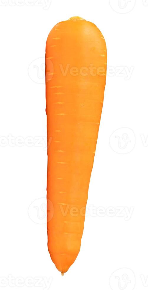 Top view of fresh orange carrot isolated on white background with clipping path photo